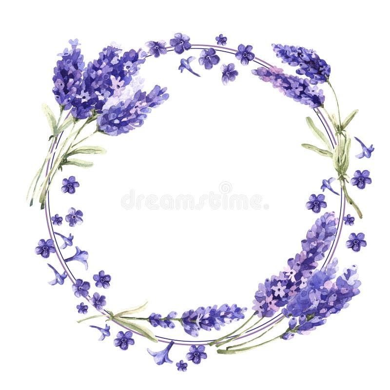 Wildflower lavender flower wreath in a watercolor style isolated. vector illustration Wildflower lavender flower wreath in a watercolor style isolated. vector illustration