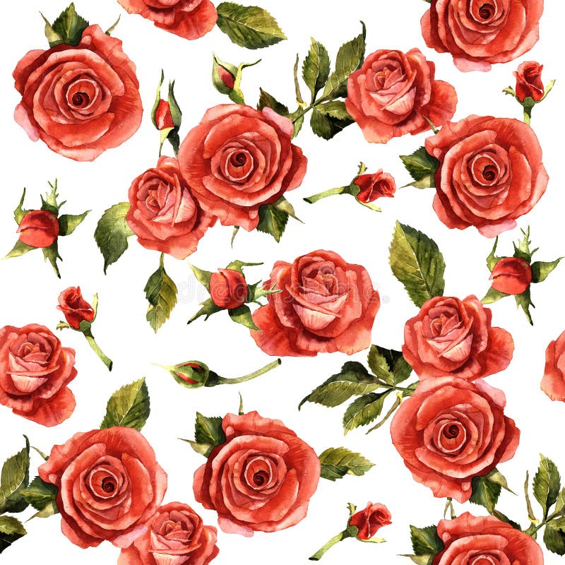 Wildflower rose flower pattern in a watercolor style .