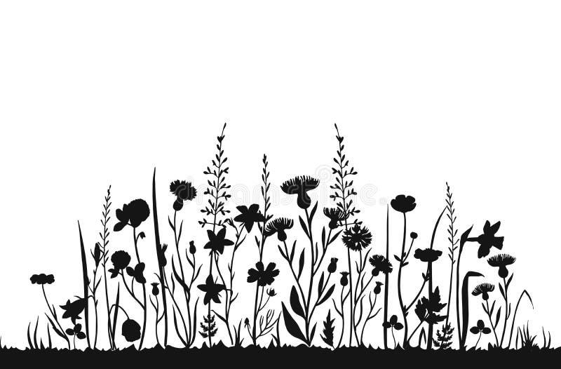 Wildflower silhouettes. Wild grass spring field. Herbal summer vector background