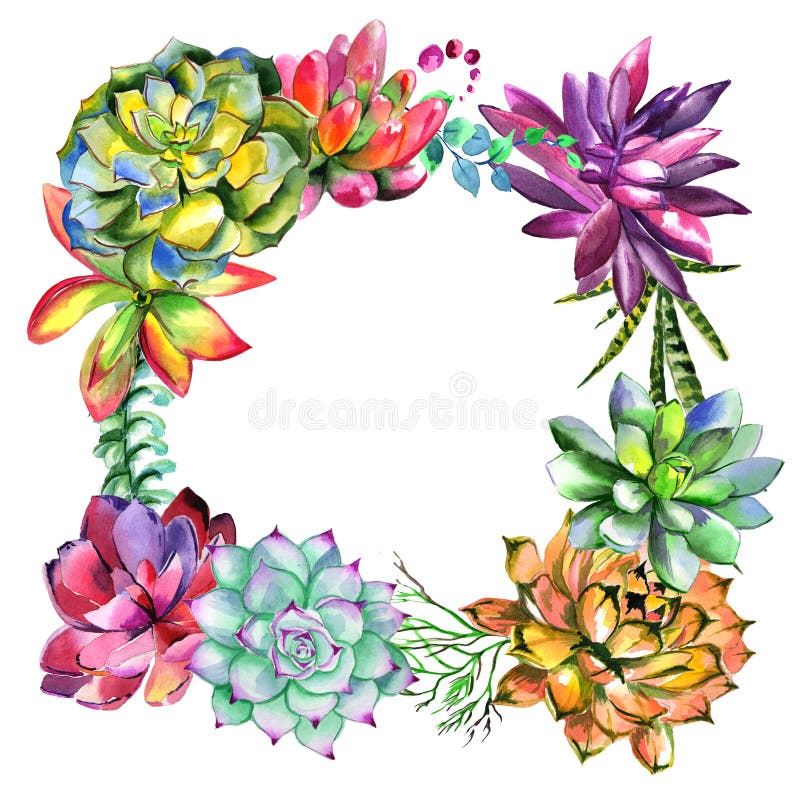 Wildflower succulentus flower frame in a watercolor style isolated.