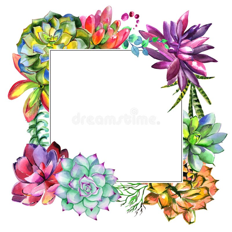 Wildflower succulentus flower frame in a watercolor style isolated.