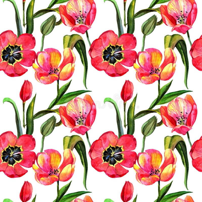 Wildflower Tulip Flower Pattern in a Watercolor Style. Stock ...