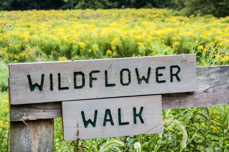 Wildflower Walk Sign stock image. Image of loudoun, field 26342795