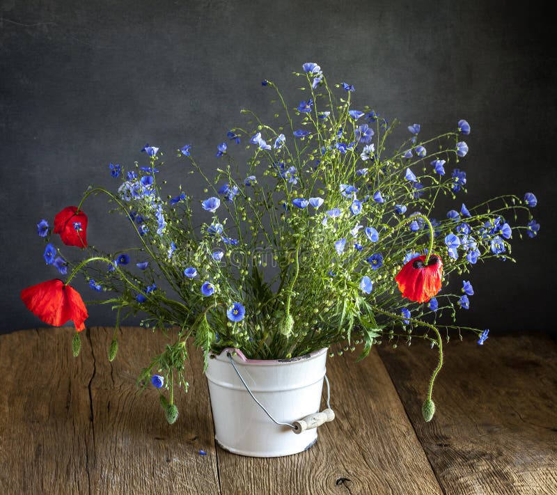 Wildflowers and poppy