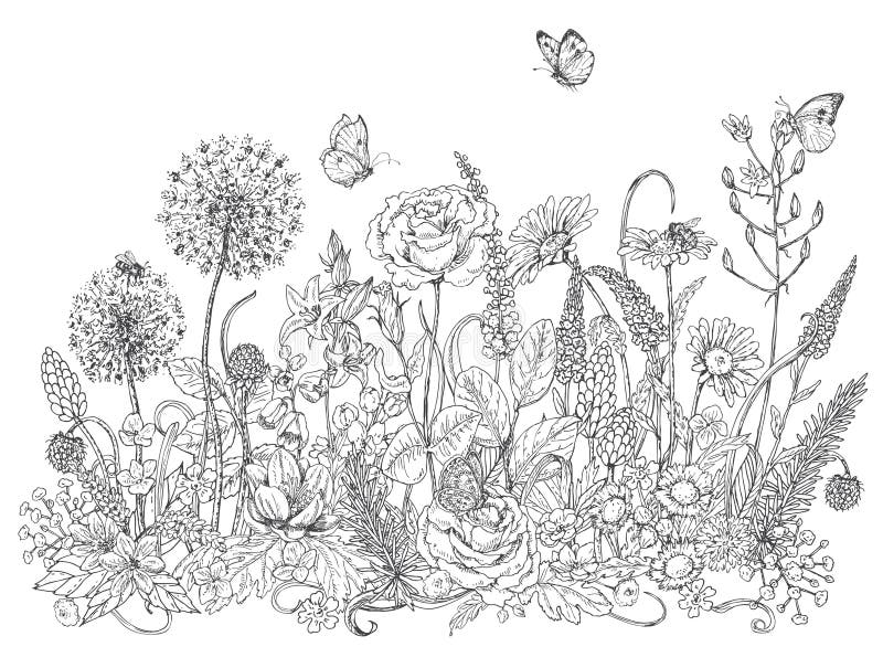 Hand drawn line illustration with wildflowers and insects. Black and white doodle wild flowers, bees and butterflies for coloring. Floral elements for decoration. Vector sketch. Hand drawn line illustration with wildflowers and insects. Black and white doodle wild flowers, bees and butterflies for coloring. Floral elements for decoration. Vector sketch.