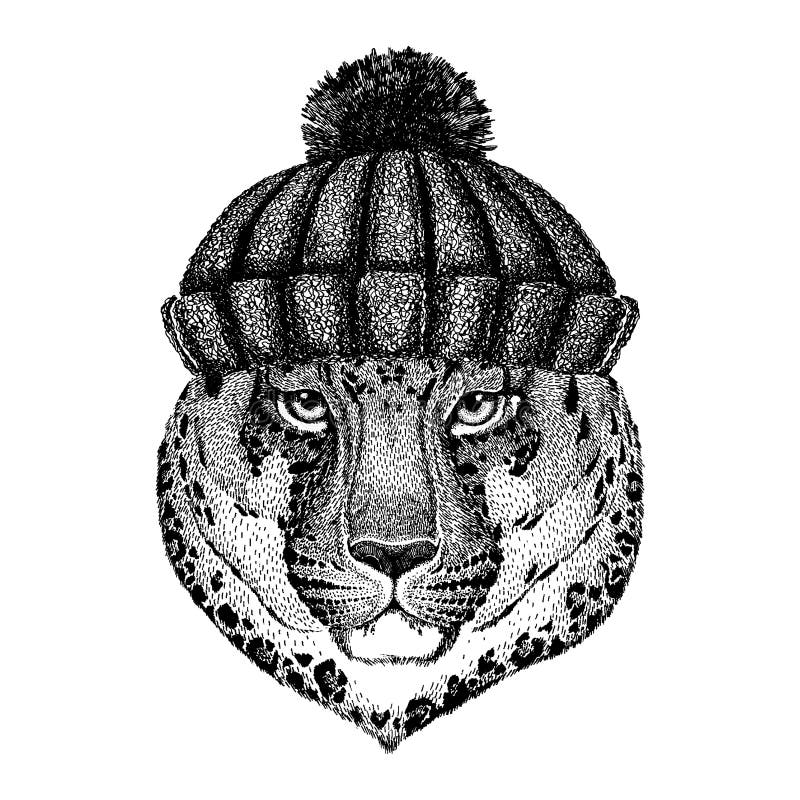Wildkatze-Leopard-Katze-O ` - kühles Tier des Bergpanthers, das gestrickten Winterhut trägt Warme Kopfschmuck Beanie Weihnachtska stock abbildung Wildkatze-Leopard-Katze-O ` - kühles Tier des Bergpanthers, das gestrickten Winterhut trägt Warme Kopfschmuck Beanie Weihnachtska stock abbildung