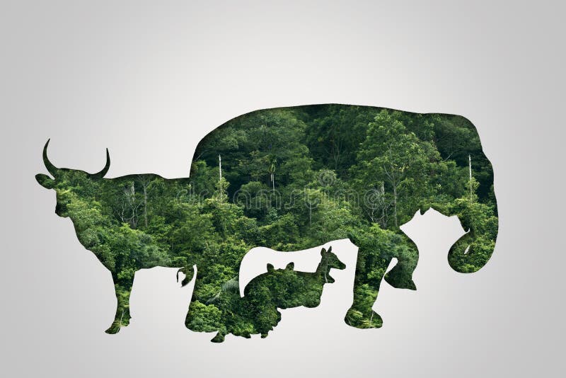 Wildlife Conservation Day Wild Animals To the Home. or Wildlife Protection Stock Illustration - Illustration of ecology, wildlife: 182115780 Wildlife Conservation Day Wild Animals To the Home. or Wildlife Protection Stock Illustration - Illustration of ecology, wildlife: 182115780