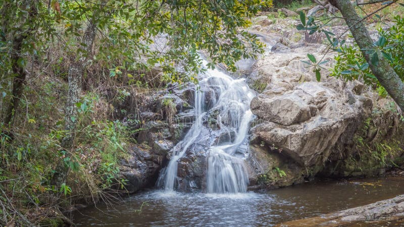 Wildlife and nature at Lavras, Brazil. Wildlife and nature sight seen at Lavras, Brazil with birds and waterfall stock photo Wildlife and nature at Lavras, Brazil. Wildlife and nature sight seen at Lavras, Brazil with birds and waterfall stock photo
