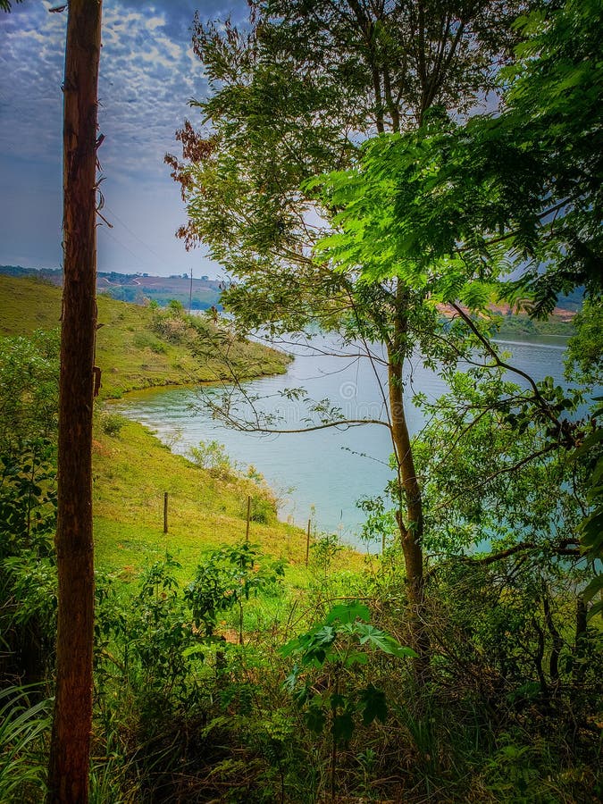 Wildlife and Nature at Lavras, Brazil. Wildlife and Nature sightseen at Lavras, Brazil with birds and waterfalls royalty free stock images Wildlife and Nature at Lavras, Brazil. Wildlife and Nature sightseen at Lavras, Brazil with birds and waterfalls royalty free stock images