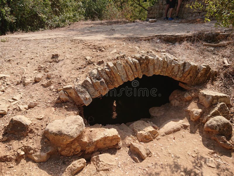Wildlife , Rocks, Animal, Sea, Mountain Stock Photo - Image of mountain