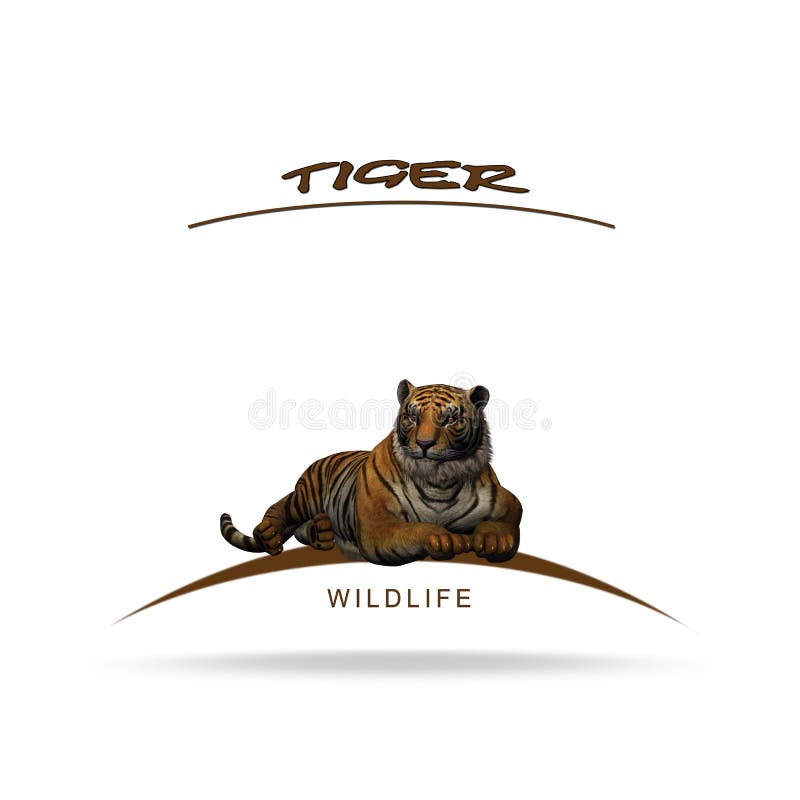 Tiger and his name stock illustration. Illustration of head - 106890189 Tiger and his name stock illustration. Illustration of head - 106890189