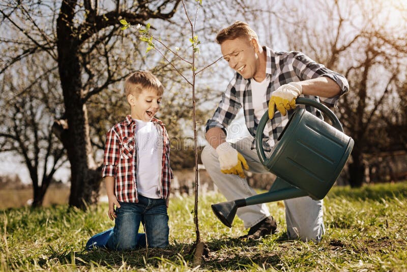 Little boy looking at young plant