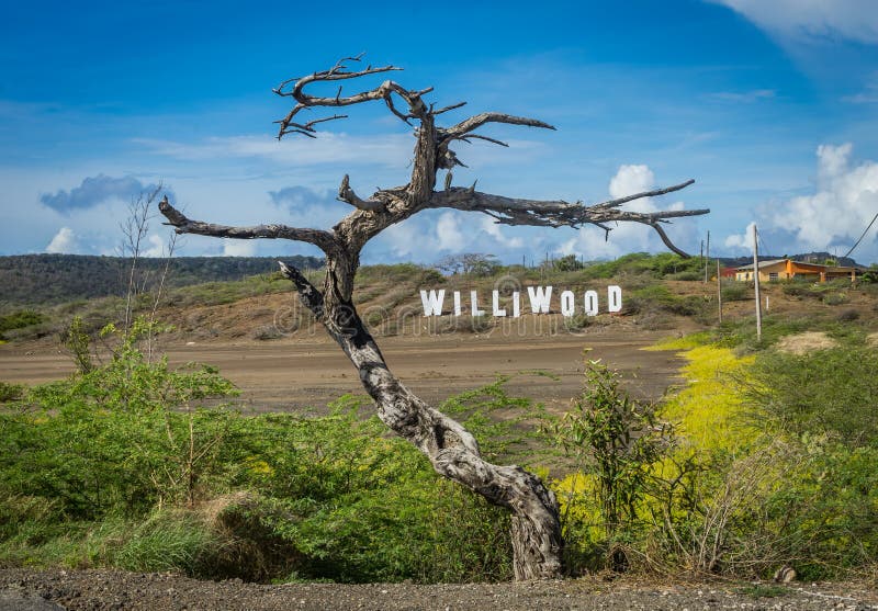 Williwood unterzeichnet Curaçao-Ansichten