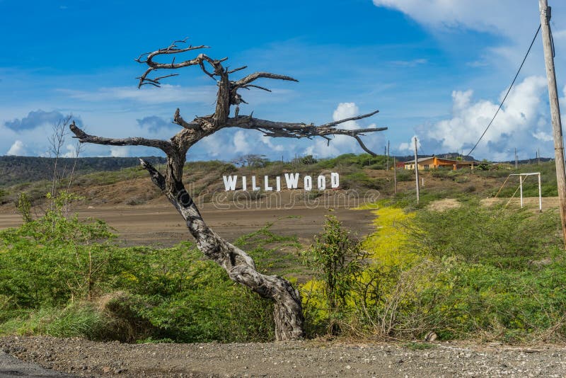 Williwood unterzeichnet Curaçao-Ansichten