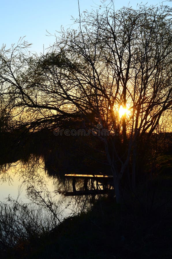 Willow tree over a lake royalty free stock photo Willow tree over a lake royalty free stock photo