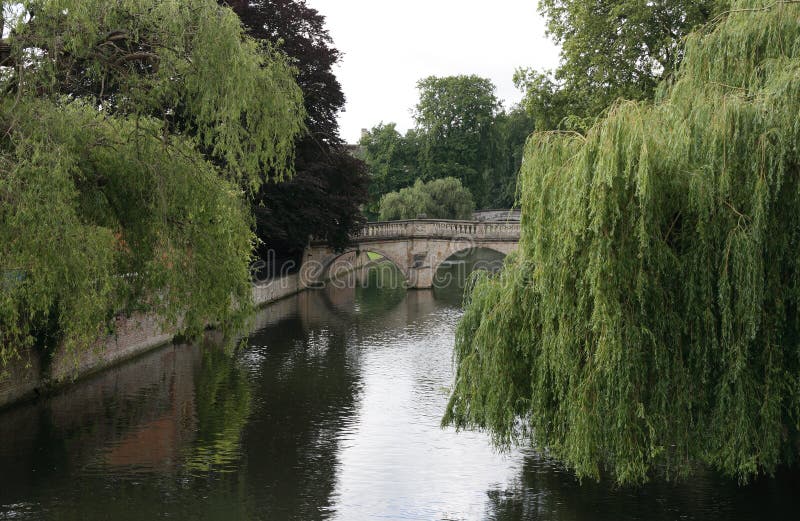 Willows over river Cam. stock images