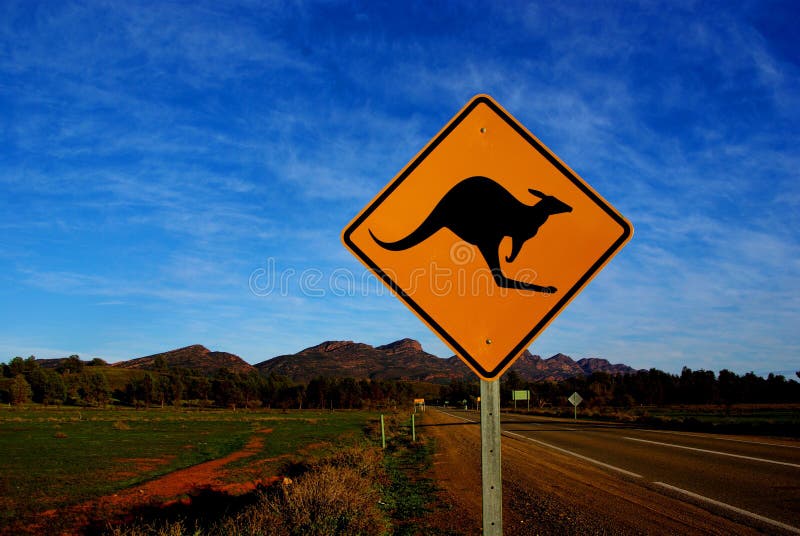 An iconic kangaroos sign on the road to Wilpena Pound. Wilpena Pound is rising out of the South Australian outback in the background. An iconic kangaroos sign on the road to Wilpena Pound. Wilpena Pound is rising out of the South Australian outback in the background.