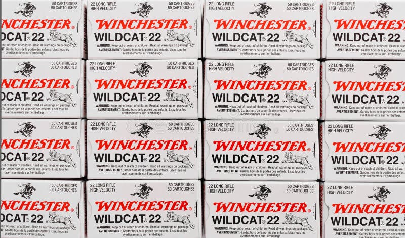 Winchester 22 cajas de la munición imágenes de archivo libres de regalías Winchester 22 cajas de la munición imágenes de archivo libres de regalías
