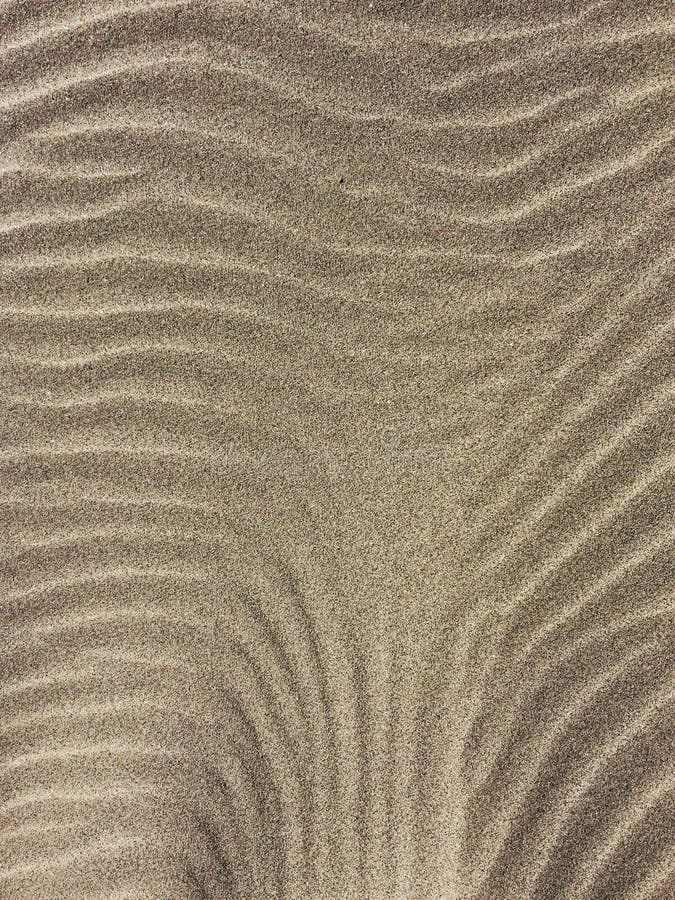 Wind Blown Sand Patterns