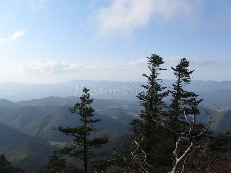 Wind in De Bergen Wordt Geveegd Die Stock Foto Image of mooi