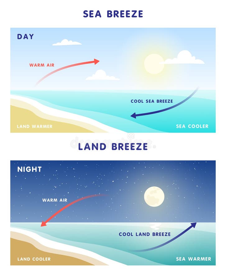 Sea breeze and land breeze drawingsea breeze and land breeze diagram class  7  YouTube