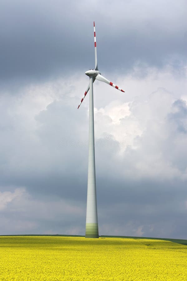 Wind mill in the midle of yellow agriculture field