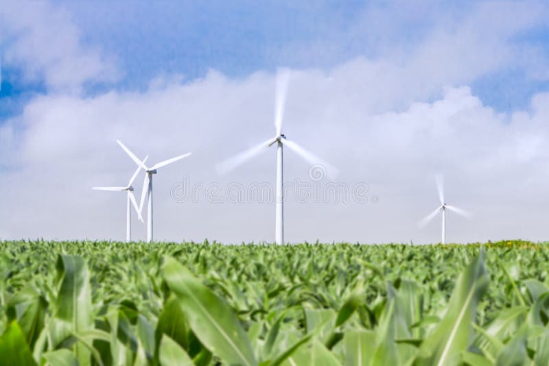 Viento sobre el ahorrar planeta.