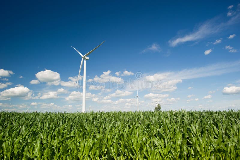 Wind Turbines In Corn Field Stock Photo Image of wind, blades 14940856