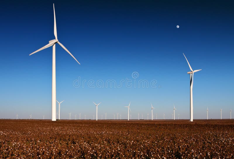 A wind turbine farm in a cotton field in rural West Texas with the moon in the sky. Texas wind energy turbines stock images, royalty-free photos and pictures