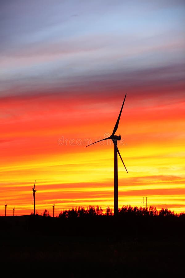 Wind Turbines In The Evening Stock Image Image Of Panorama Energy