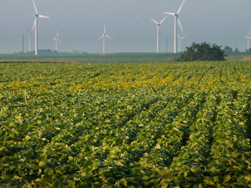 Wind turbines farm