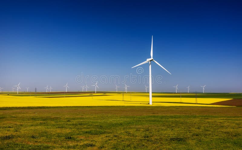 Wind turbines. Fields with windmills. Rapeseed field in bloom. Renewable energy. Protect the environment. Dobrogea, Romania