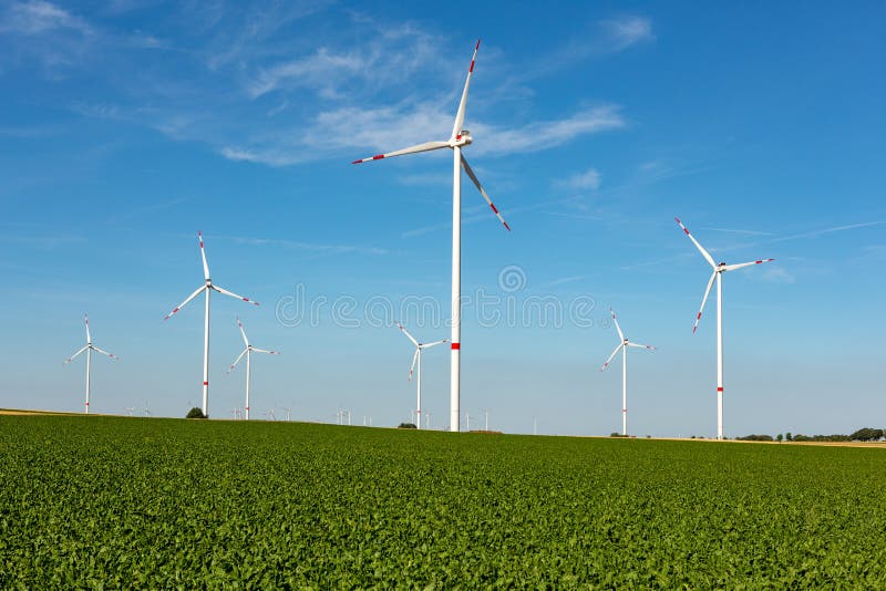 Wind turbines on a green