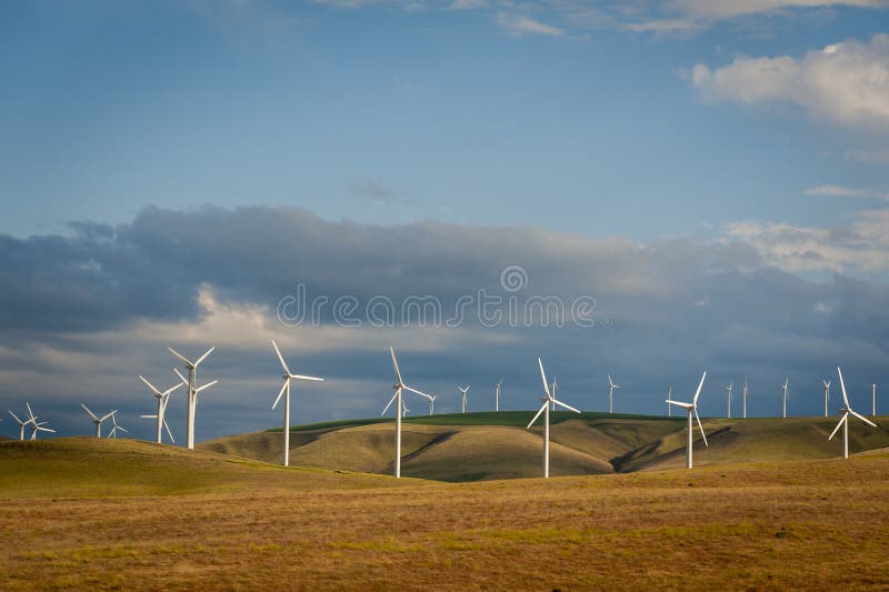 Wind turbines on a hill