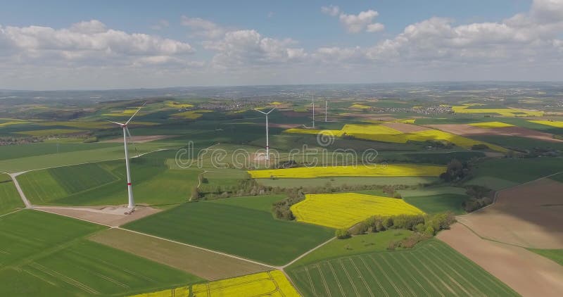 Wind Turbines in the Middle of Rapeseed Field