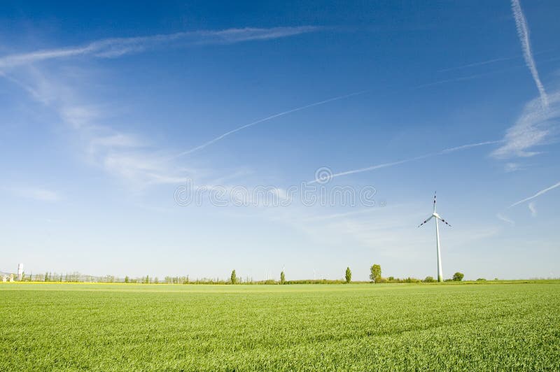 Wind turbines and rapeseed fie