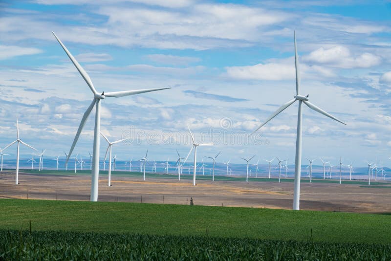 Wind Turbines and Wheat Fields in Eastern Oregon Stock Photo Image of