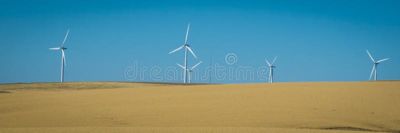 Wind turbines, wheat fields, Washington state