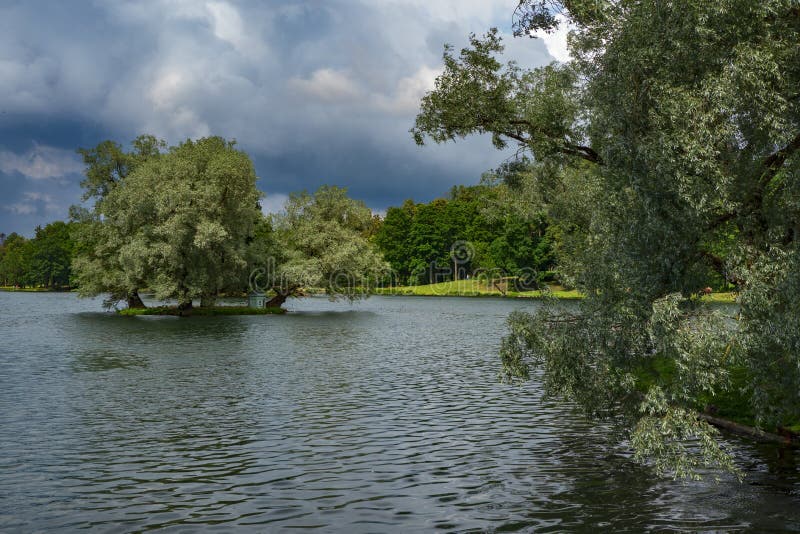 Wind Water Landscape. Summer Dramatic Sunny Park with Willows Stock