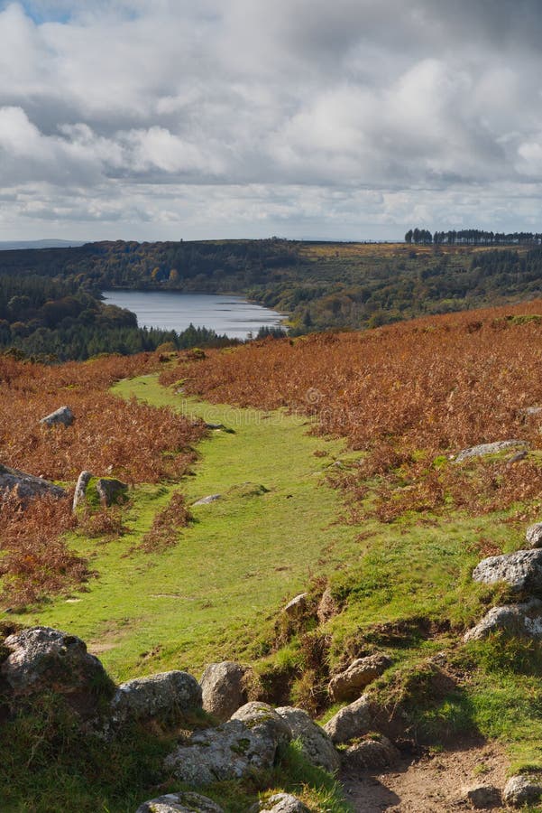 Winding autumn path from Down Tor to Burrator reservoir, Dartmoor,Devon.