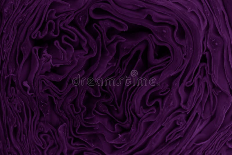 Winding background, brains, lines, close-up, abstraction style, alternative, art royalty free stock photography