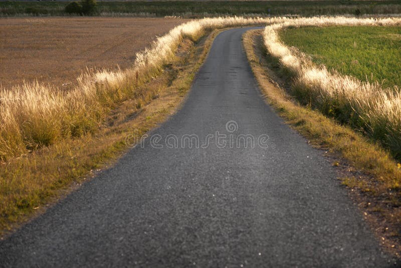 4,230 Field Winding Way Stock Photos Free & RoyaltyFree Stock Photos