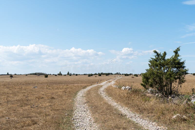 Winding dirt road in a dry grassland royalty free stock photography Winding dirt road in a dry grassland royalty free stock photography