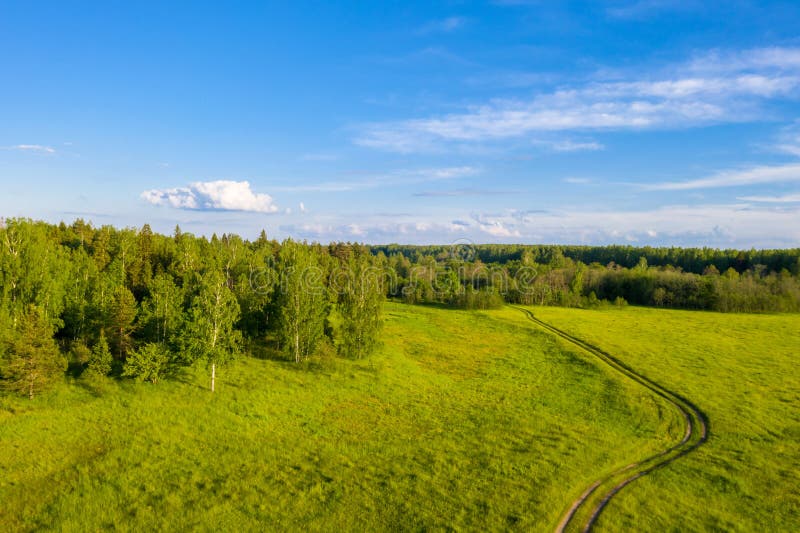 A winding dirt road passing through a green field into the forest royalty free stock photo