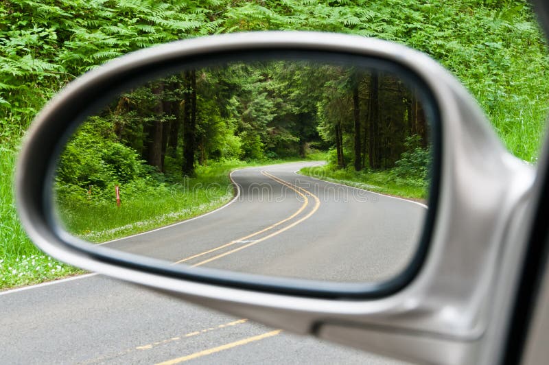 Winding Forest Road in Sideview Mirror