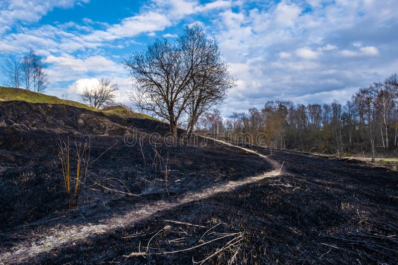 A winding narrow path on the ground with scorched last year`s grass, climbing a hill stock images