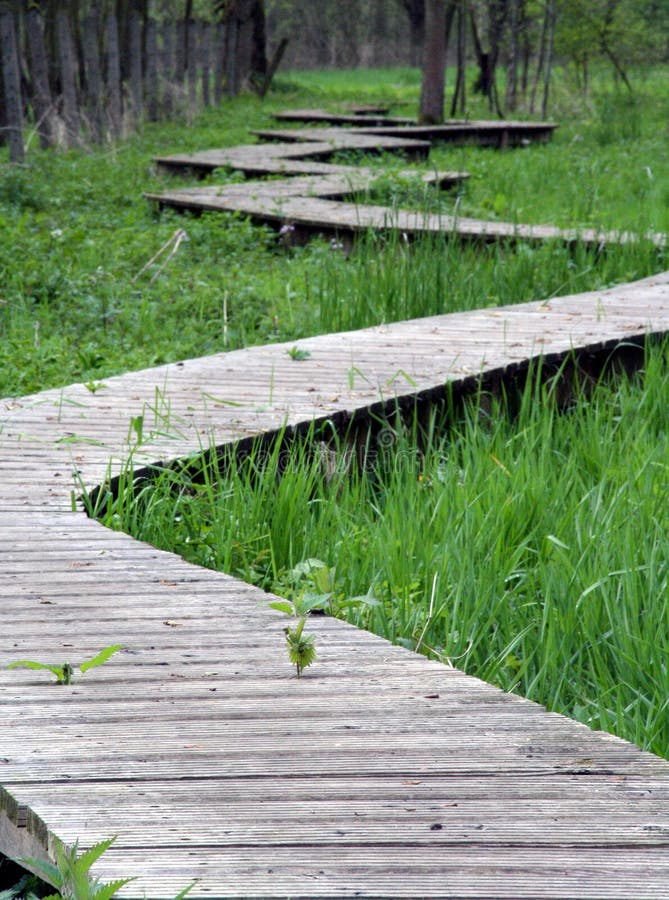 Winding Path Stock Image Image Of Movement Development 106855