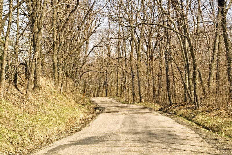 windswept walking the paths of trailblazing women windswept walking the paths of trailblazing women