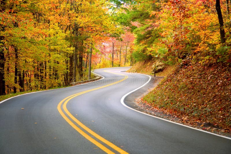 Strada tortuosa attraverso la foresta d'autunno nei Monti Appalachi.