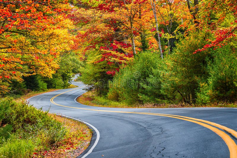 Winding road curves through autumn foliage trees in New England